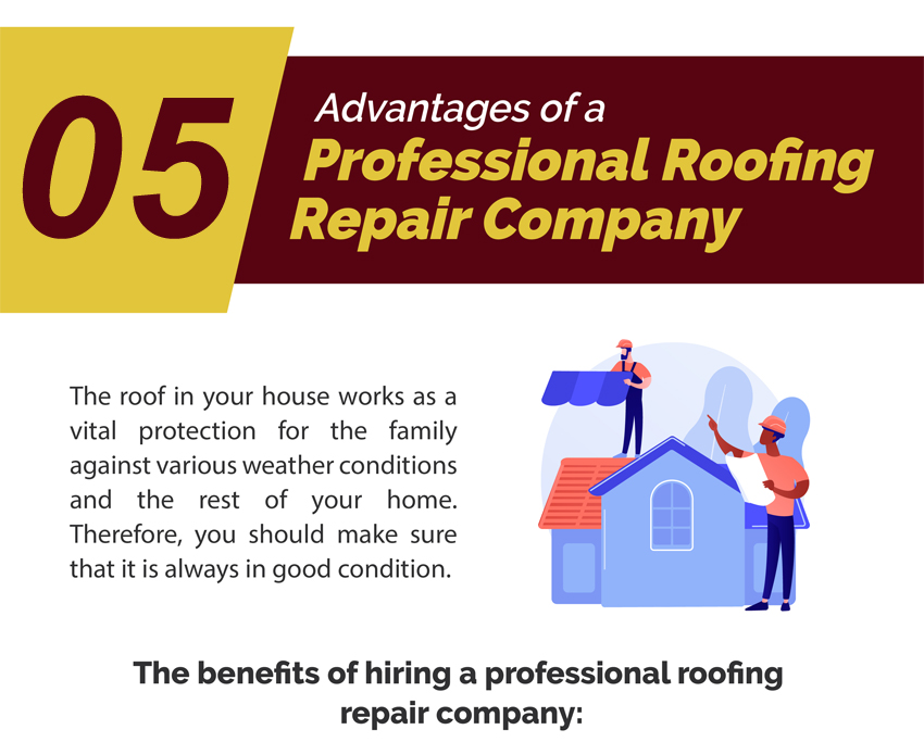 Roofing Repair Company Info