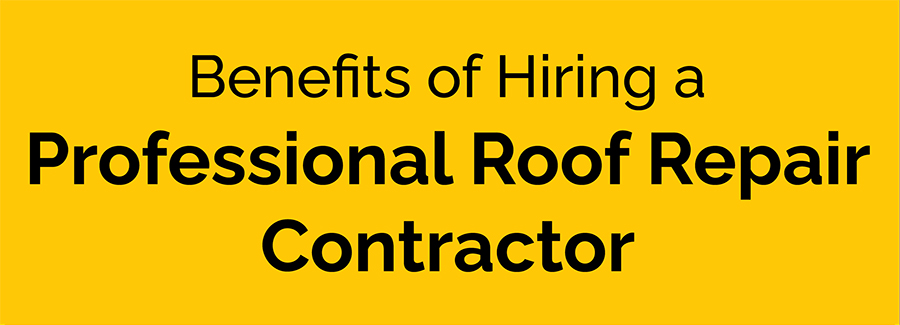 Professional Roof Repair Contractor